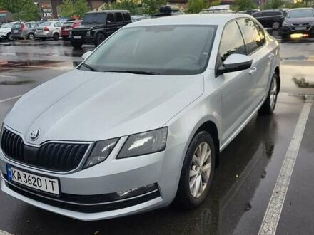 Шкода Октавия 2019 в Киеве на Automoto.ua Серый Шкода Октавия, объемом двигателя 1.4 л и пробегом 137 тыс. км за 14800 $, фото 1 на Automoto.ua