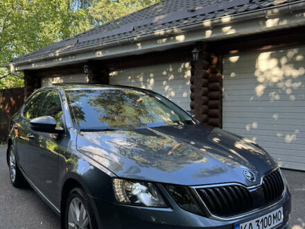 Шкода Октавия 2019 в Киеве на Automoto.ua Серый Шкода Октавия, объемом двигателя 1.4 л и пробегом 122 тыс. км за 17000 $, фото 1 на Automoto.ua