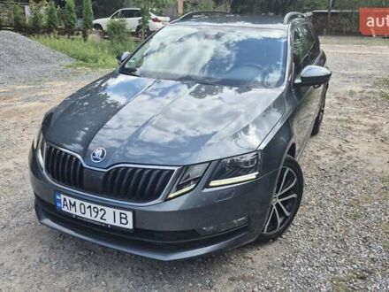 Шкода Октавія 2019 у Бердичеве на Automoto.ua Сірий Шкода Октавія, об'ємом двигуна 2 л та пробігом 216 тис. км за 17600 $, фото 1 на Automoto.ua