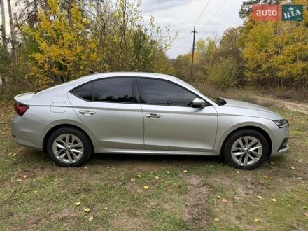 Шкода Октавия 2020 в Харькове на Automoto.ua Серый Шкода Октавия, объемом двигателя 1.5 л и пробегом 210 тыс. км за 17000 $, фото 1 на Automoto.ua