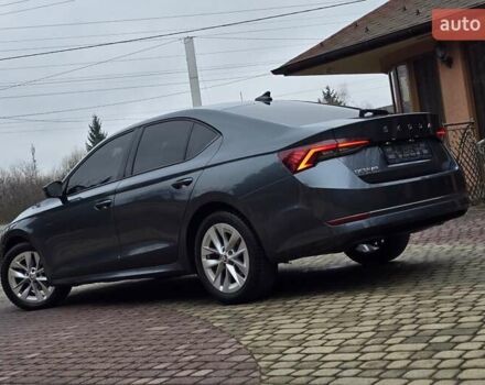 Серый Шкода Октавия, объемом двигателя 1.97 л и пробегом 229 тыс. км за 16850 $, фото 1 на Automoto.ua