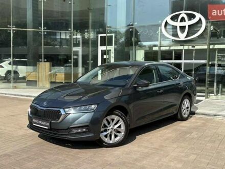 Шкода Октавия 2021 в Киеве на Automoto.ua Серый Шкода Октавия, объемом двигателя 1.4 л и пробегом 84 тыс. км за 18610 $, фото 1 на Automoto.ua