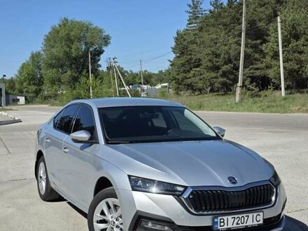 Шкода Октавия 2023 в Полтаве на Automoto.ua Серый Шкода Октавия, объемом двигателя 1.4 л и пробегом 30 тыс. км за 27100 $, фото 1 на Automoto.ua