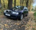 Синій Шкода Октавія, об'ємом двигуна 1.9 л та пробігом 283 тис. км за 2806 $, фото 1 на Automoto.ua