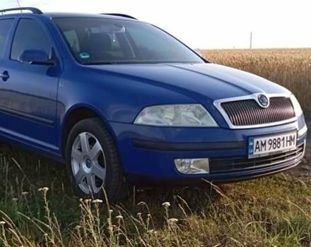 Синий Шкода Октавия, объемом двигателя 1.6 л и пробегом 226 тыс. км за 7000 $, фото 30 на Automoto.ua