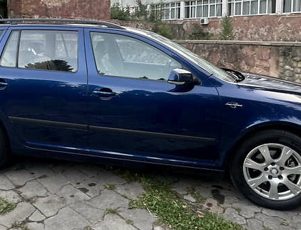 Синий Шкода Октавия, объемом двигателя 2 л и пробегом 232 тыс. км за 6899 $, фото 13 на Automoto.ua