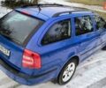 Синий Шкода Октавия, объемом двигателя 1.9 л и пробегом 290 тыс. км за 5400 $, фото 18 на Automoto.ua