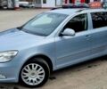 Синий Шкода Октавия, объемом двигателя 1.6 л и пробегом 186 тыс. км за 7900 $, фото 1 на Automoto.ua