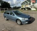 Синий Шкода Октавия, объемом двигателя 1.4 л и пробегом 217 тыс. км за 6599 $, фото 1 на Automoto.ua