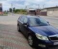 Синий Шкода Октавия, объемом двигателя 1.98 л и пробегом 245 тыс. км за 9100 $, фото 9 на Automoto.ua