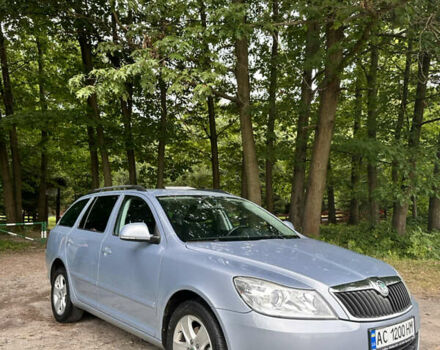 Синий Шкода Октавия, объемом двигателя 1.6 л и пробегом 291 тыс. км за 8300 $, фото 10 на Automoto.ua