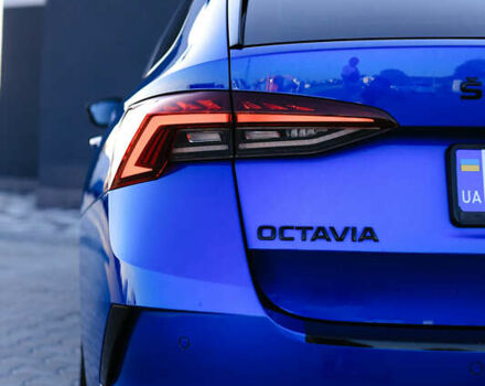 Синий Шкода Октавия, объемом двигателя 1.97 л и пробегом 207 тыс. км за 27999 $, фото 9 на Automoto.ua