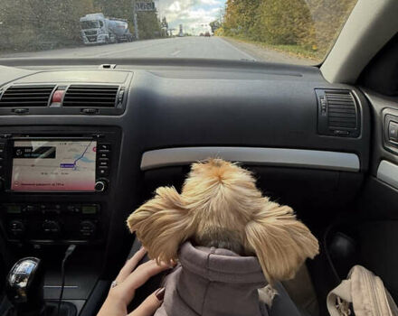 Синий Шкода Октавия, объемом двигателя 1.6 л и пробегом 241 тыс. км за 6900 $, фото 8 на Automoto.ua