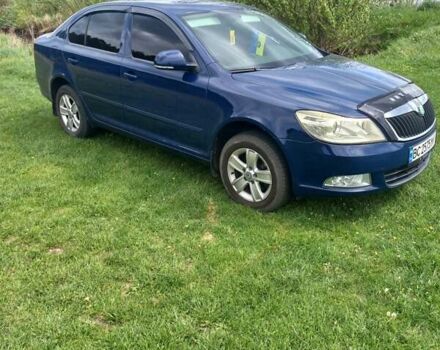 Синий Шкода Октавия, объемом двигателя 1.6 л и пробегом 317 тыс. км за 7000 $, фото 15 на Automoto.ua