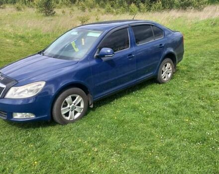 Синий Шкода Октавия, объемом двигателя 1.6 л и пробегом 317 тыс. км за 7000 $, фото 8 на Automoto.ua
