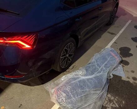 Синий Шкода Октавия, объемом двигателя 1.4 л и пробегом 147 тыс. км за 23200 $, фото 23 на Automoto.ua