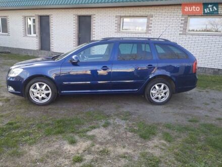 Шкода Октавія 2009 у Радомышле на Automoto.ua Синій Шкода Октавія, об'ємом двигуна 1.4 л та пробігом 260 тис. км за 5850 $, фото 1 на Automoto.ua