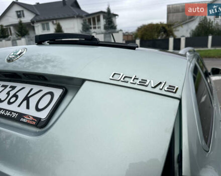 Зеленый Шкода Октавия, объемом двигателя 1.6 л и пробегом 235 тыс. км за 8499 $, фото 47 на Automoto.ua