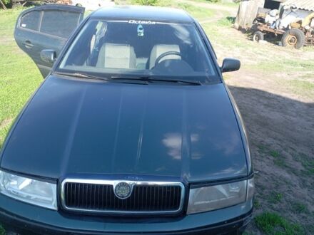Шкода Октавия 2008 в Нежине на Automoto.ua Зеленый Шкода Октавия, объемом двигателя 1 л и пробегом 270 тыс. км за 2000 $, фото 1 на Automoto.ua