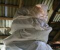 Серый Шкода Рапид, объемом двигателя 1.2 л и пробегом 164 тыс. км за 7500 $, фото 7 на Automoto.ua