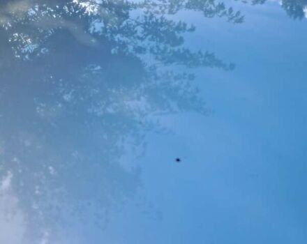 Серый Шкода Рапид, объемом двигателя 1.6 л и пробегом 245 тыс. км за 11300 $, фото 16 на Automoto.ua