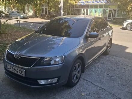 Шкода Рапид 2013 в Кропивницком (Кировограде) на Automoto.ua Серый Шкода Рапид, объемом двигателя 1.2 л и пробегом 172 тыс. км за 7500 $, фото 1 на Automoto.ua