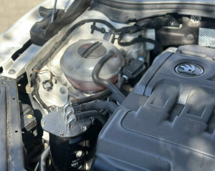 Белый Шкода Суперб, объемом двигателя 1.6 л и пробегом 280 тыс. км за 14500 $, фото 43 на Automoto.ua