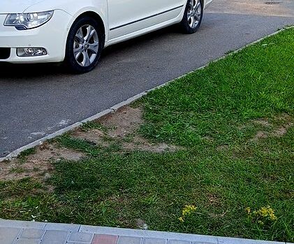 Белый Шкода Суперб, объемом двигателя 2 л и пробегом 300 тыс. км за 11300 $, фото 1 на Automoto.ua
