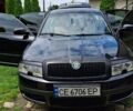 Черный Шкода Суперб, объемом двигателя 1.9 л и пробегом 333 тыс. км за 4300 $, фото 12 на Automoto.ua