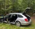 Сірий Шкода Суперб, об'ємом двигуна 2 л та пробігом 294 тис. км за 9288 $, фото 26 на Automoto.ua