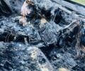 Сірий Шкода Суперб, об'ємом двигуна 0 л та пробігом 230 тис. км за 1938 $, фото 3 на Automoto.ua