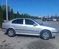 Сірий Шкода Суперб, об'ємом двигуна 1.6 л та пробігом 244 тис. км за 4400 $, фото 1 на Automoto.ua