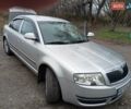 Шкода Суперб 2007 в Кривом Роге на Automoto.ua Серый Шкода Суперб, объемом двигателя 2 л и пробегом 197 тыс. км за 6500 $, фото 1 на Automoto.ua