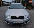Серый Шкода Суперб, объемом двигателя 1.9 л и пробегом 270 тыс. км за 4350 $, фото 3 на Automoto.ua