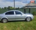 Шкода Суперб 2008 в Нежине на Automoto.ua Серый Шкода Суперб, объемом двигателя 1.78 л и пробегом 310 тыс. км за 4200 $, фото 1 на Automoto.ua