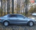 Серый Шкода Суперб, объемом двигателя 1.97 л и пробегом 250 тыс. км за 8699 $, фото 11 на Automoto.ua