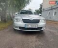 Сірий Шкода Суперб, об'ємом двигуна 1.97 л та пробігом 150 тис. км за 9300 $, фото 1 на Automoto.ua