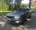 Сірий Шкода Суперб, об'ємом двигуна 2 л та пробігом 250 тис. км за 8399 $, фото 1 на Automoto.ua