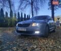 Серый Шкода Суперб, объемом двигателя 1.97 л и пробегом 250 тыс. км за 8699 $, фото 9 на Automoto.ua