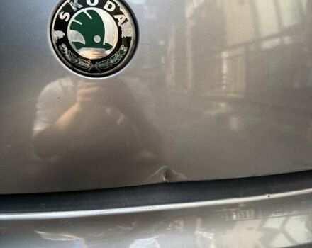 Сірий Шкода Суперб, об'ємом двигуна 1.9 л та пробігом 283 тис. км за 7500 $, фото 10 на Automoto.ua