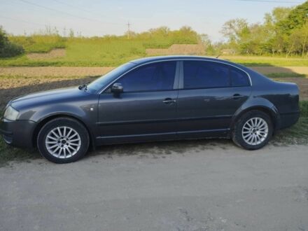 Шкода Суперб 2002 в Гусятине на Automoto.ua Серый Шкода Суперб, объемом двигателя 1.9 л и пробегом 416 тыс. км за 3626 $, фото 1 на Automoto.ua