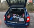 Синій Шкода Суперб, об'ємом двигуна 1.6 л та пробігом 264 тис. км за 10500 $, фото 7 на Automoto.ua