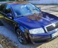 Шкода Суперб 2003 в Бурштыне на Automoto.ua Синий Шкода Суперб, объемом двигателя 1.9 л и пробегом 450 тыс. км за 5000 $, фото 7 на Automoto.ua