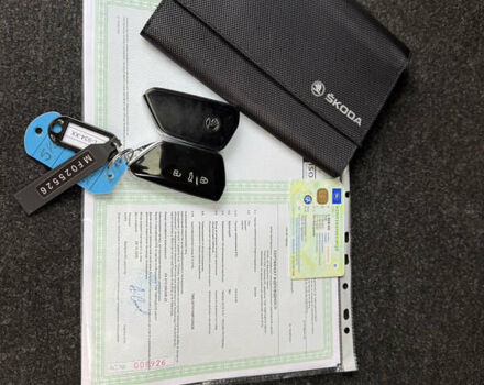 Шкода Enyaq iV, объемом двигателя 0 л и пробегом 179 тыс. км за 21000 $, фото 39 на Automoto.ua