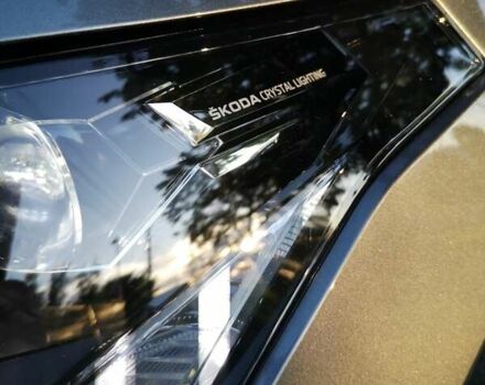 Серый Шкода Enyaq iV, объемом двигателя 0 л и пробегом 41 тыс. км за 33300 $, фото 22 на Automoto.ua