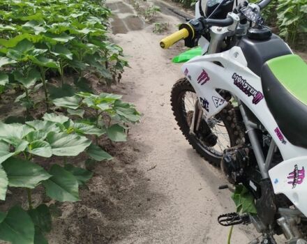 СкайБайк Другая, объемом двигателя 0.2 л и пробегом 0 тыс. км за 1250 $, фото 5 на Automoto.ua