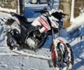 СкайБайк Другая, объемом двигателя 0.2 л и пробегом 0 тыс. км за 45000 $, фото 3 на Automoto.ua