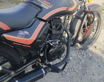 СкайБайк Cobra, объемом двигателя 0.12 л и пробегом 10 тыс. км за 550 $, фото 5 на Automoto.ua