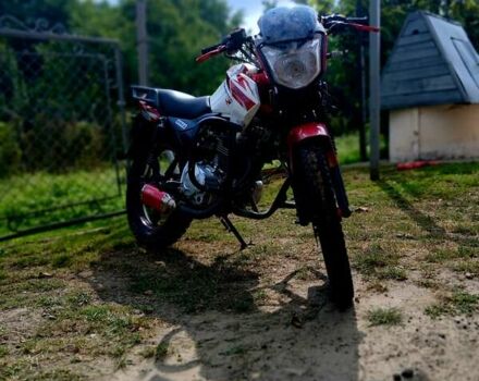 Красный СкайБайк Dragster, объемом двигателя 0 л и пробегом 10 тыс. км за 581 $, фото 4 на Automoto.ua