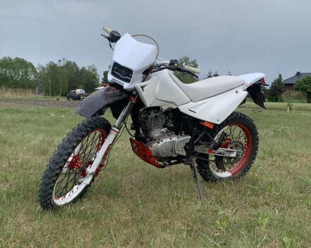 Белый СкайБайк Liger, объемом двигателя 0.2 л и пробегом 177 тыс. км за 1450 $, фото 3 на Automoto.ua